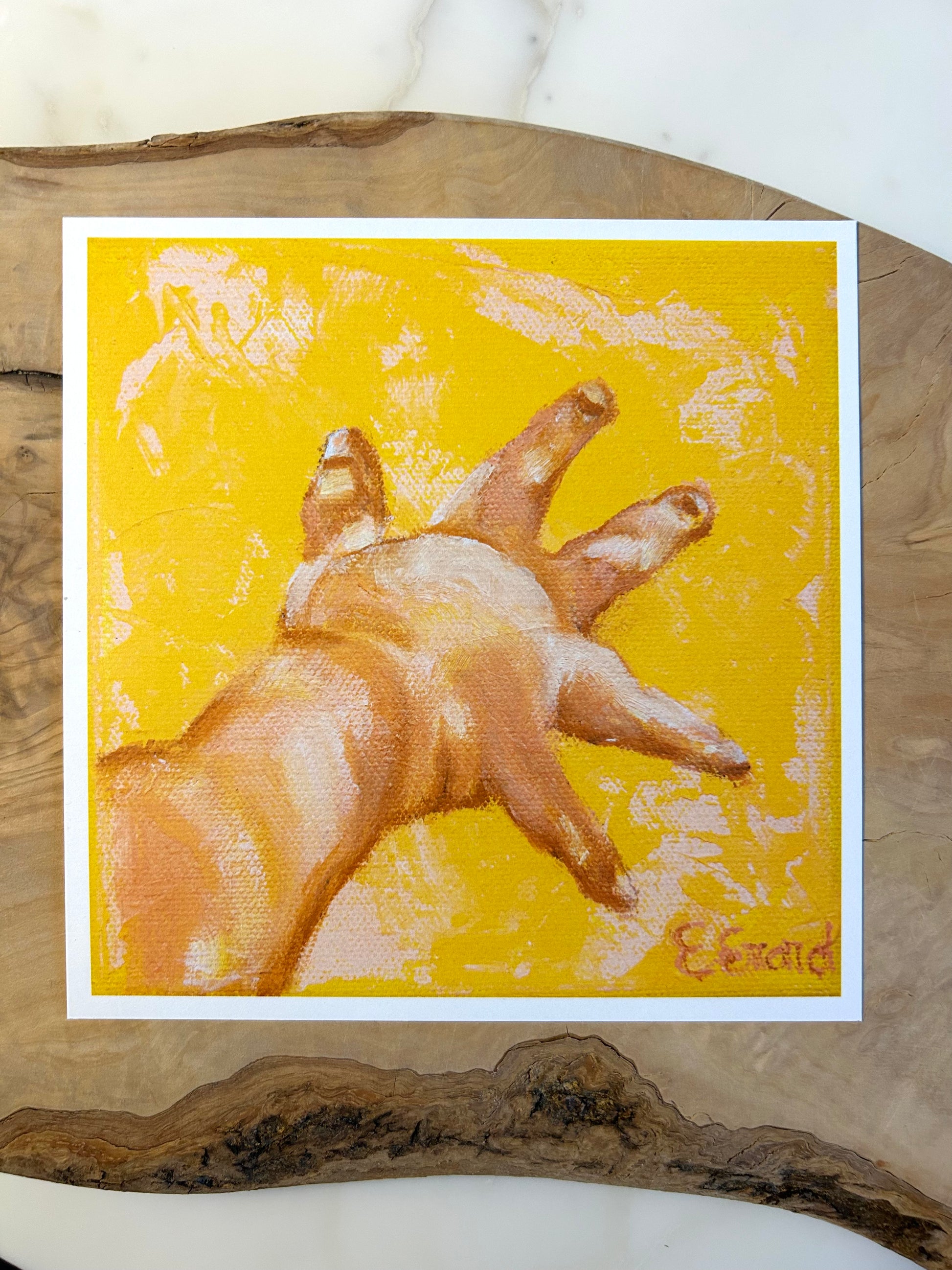 Joy of birth, set of 5  cards, A6, Emmanuelle Erard Art