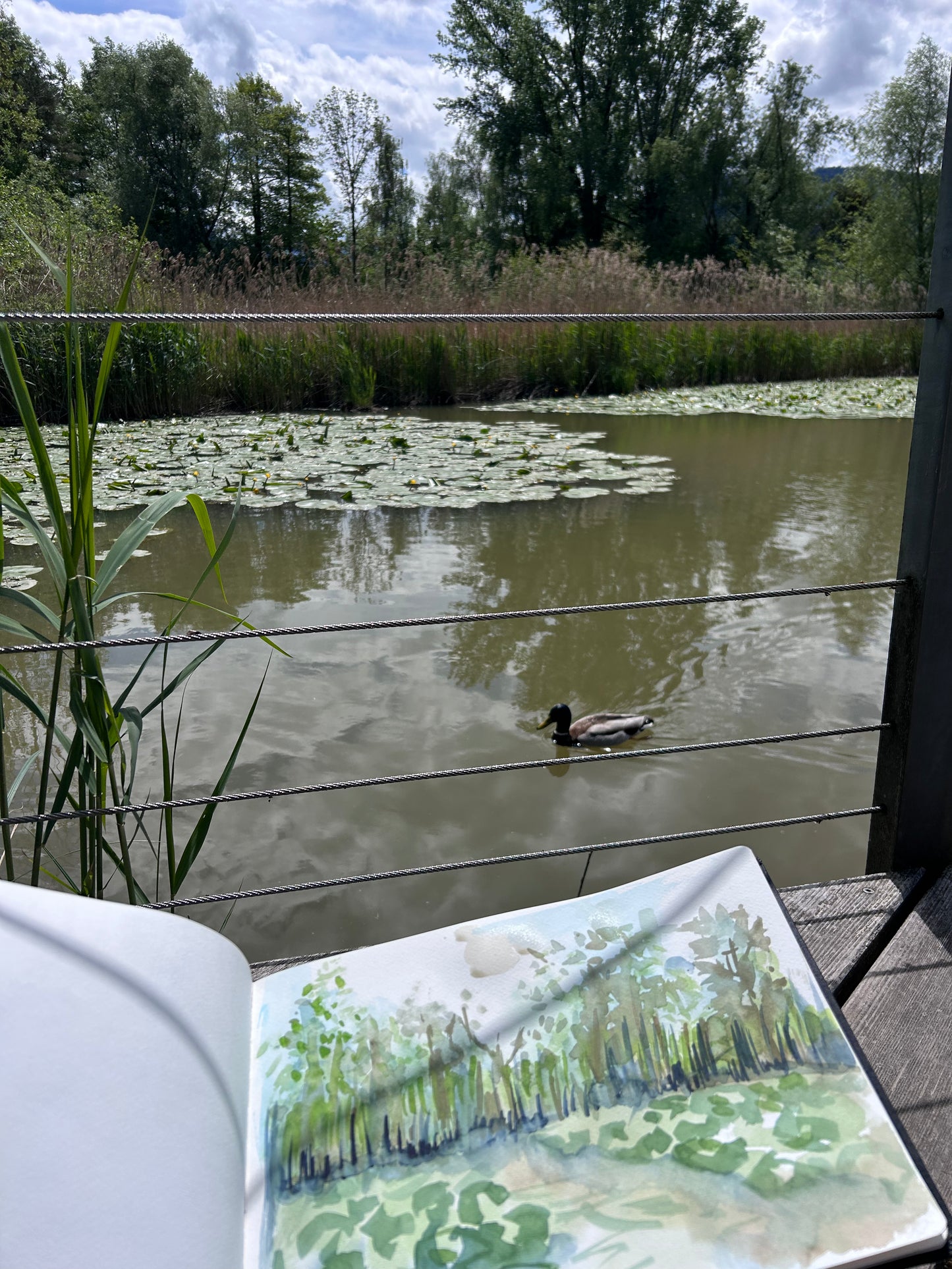 Painting in nature - Private Session