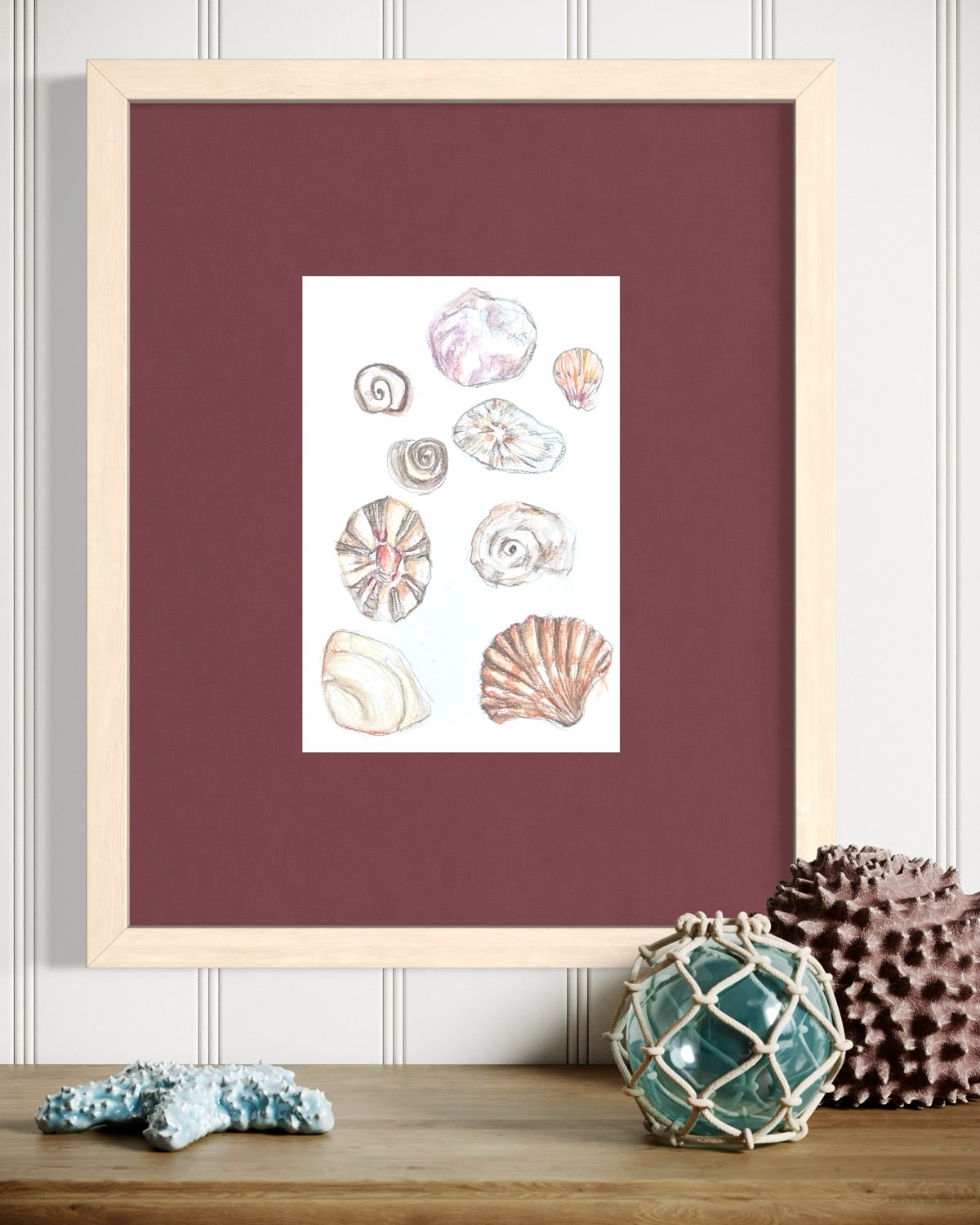 Shells Studies II - drawing