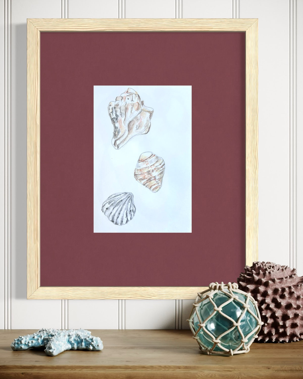 Shells Studies I - drawing