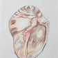 Wild Shell - original drawing